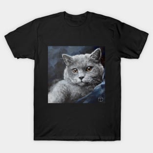 Scottish Straight cat (2023) T-Shirt